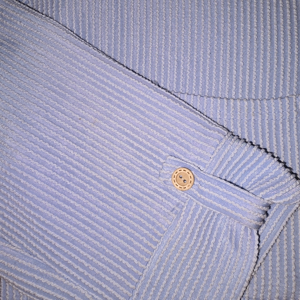 Three Bird Nest Blue Striped Button Down Shirt